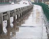 Орловчане пожаловались работу транспорта вечером, а общественники попросили областного прокурора проверить чиновников на ложь