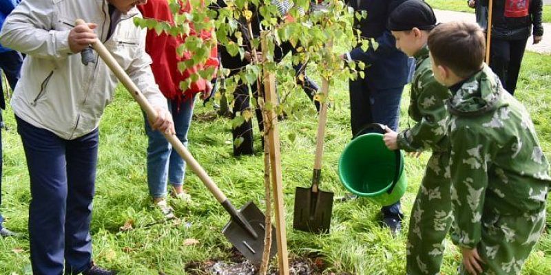 В орловском парке Победы высадили клены и березы