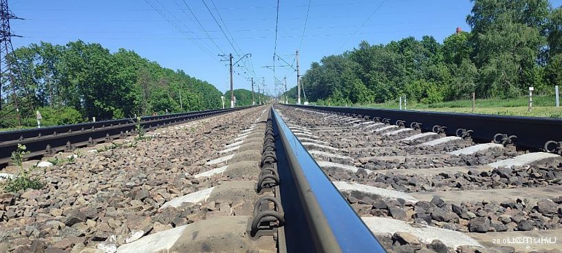 Более 50 га полосы отвода железнодорожники освободили от сорняков в Орловской области