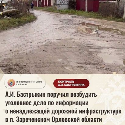 Бастрыкин поручил возбудить уголовное дело по факту разбитой дороги в Орловском МО