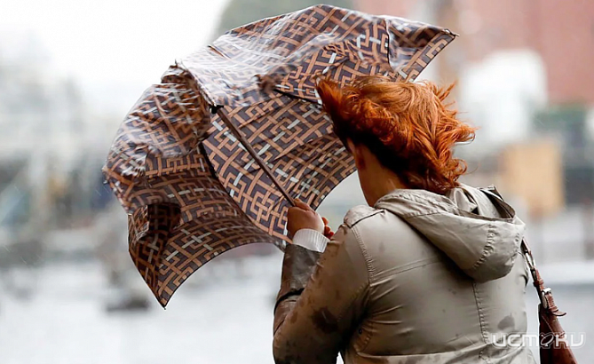 На Орловщине ещё сутки сохранится ветреная погода