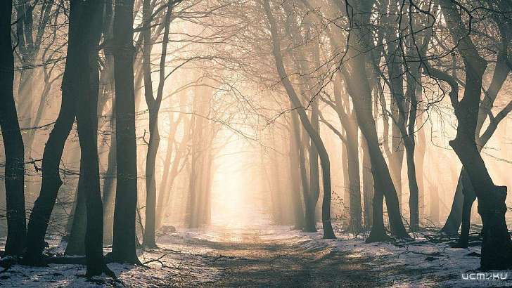 Пятница, 13-е: день неприятностей в Орле будет снежным и теплым