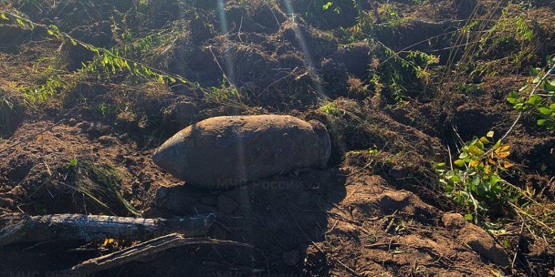 Управление МЧС по Орловской области В Болховском районе обнаружили 32 взрывоопасных предмета