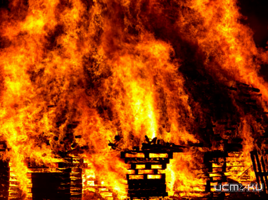 На Орловщине в пожарах с начала года погибли 55 человек