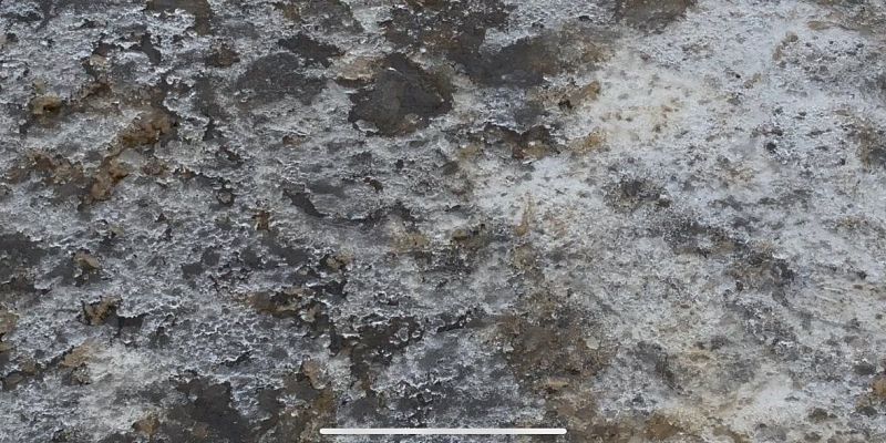 Погода проверяет орловчан на растяжку и крепость голеностопов