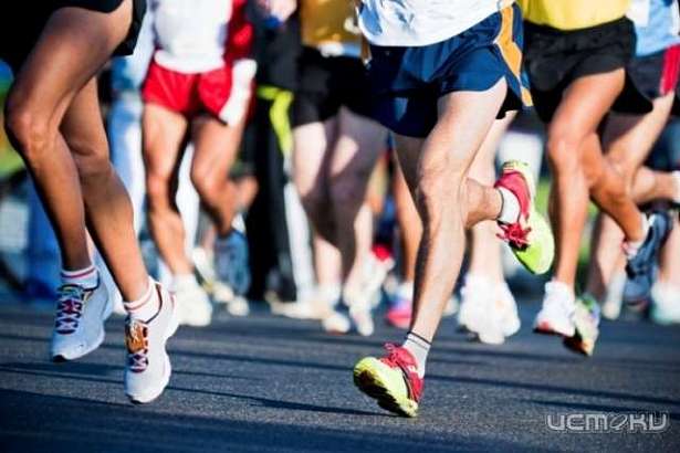 Орловские спортсмены приняли участие в Чемпионате и Первенстве России по кроссу