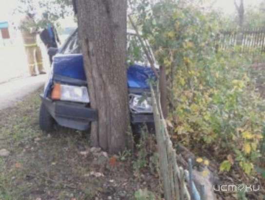 "Девятка" под Орлом съехала в кювет и врезалась в дерево