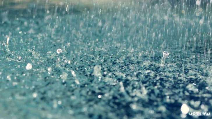 Воскресенье в Орле будет дождливым и холодным