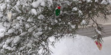 В орловской мэрии рассказали, во сколько обойдутся елки в этом году