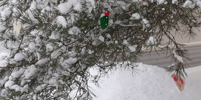 В орловской мэрии рассказали, во сколько обойдутся елки в этом году