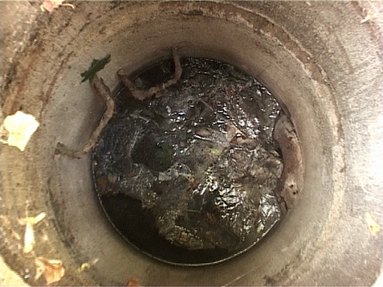 Станет ли легче дышать жителям деревни Старцево?