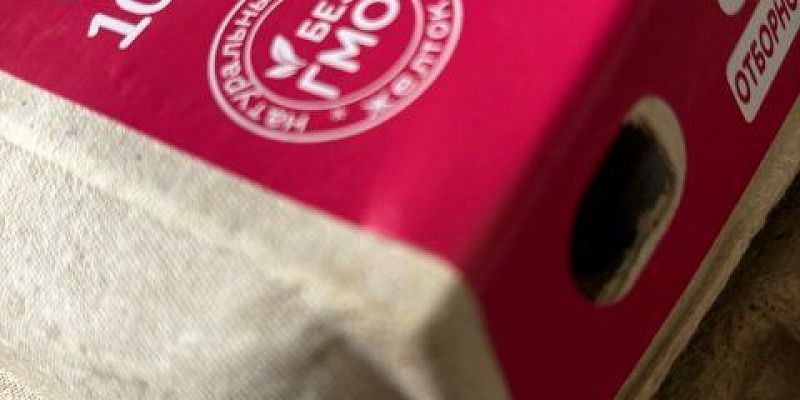 В Орловской области почти на 17% выросло производство яиц 