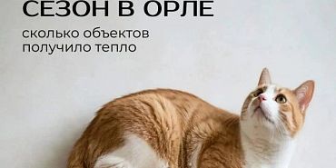 Во всех орловских школах батареи горячие
