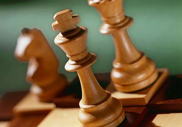 Названа шахматная королева ЦФО