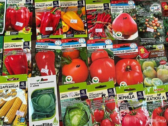 Россельхознадзор выявил продажу "нелегальных" семян в орловском интернет-магазине