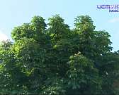 Андрей Клычков собрал в сквере Ермолова сторонников и противников его реконструкции