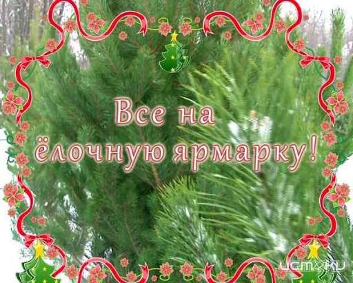 Ну какой же Новый Год без ёлочки? Все на ёлочную ярмарку!
