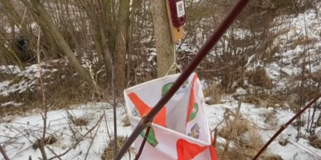 Дед Мороз сегодня наградит лучших на традиционных стартах в Медведевском лесу