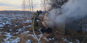 Урицкие пожарные потушили теплицу, а спасатели в Орле сняли кота с дерева   