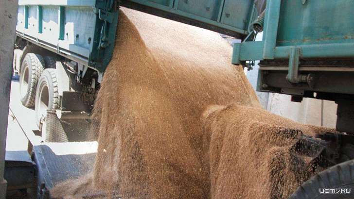 За кражу пшеницы и рапса двух орловских начальников будут судить