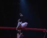 Мир, полный чудес и волшебства: орловчан приглашают в цирк Романа Коробко