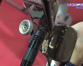 Орел на полмесяца стал центром притяжения лучников со всей страны.