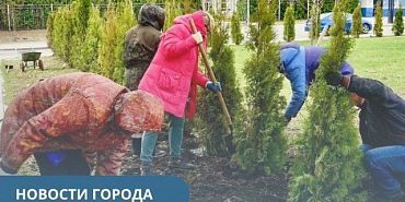 Деревья города Орла В Орле обещают высадить почти 1400 деревьев