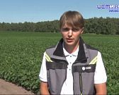 Аграрно-промышленный комплекс: новые перспективы Аграрно-промышленный комплекс: новые перспективы