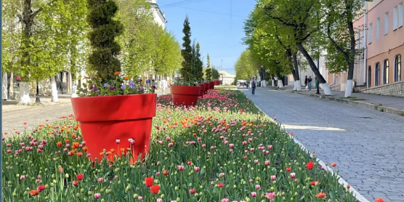 В Орле зацвели тысячи тюльпанов