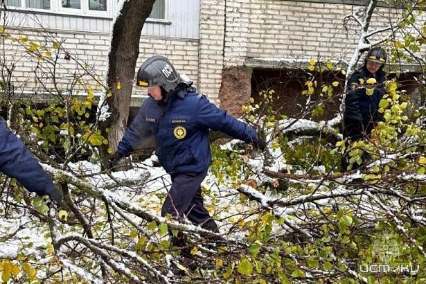 Последствия непогоды ликвидированы 