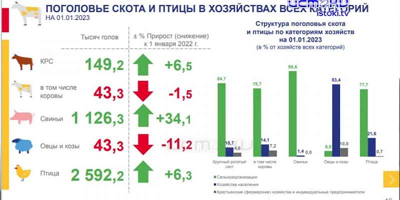 За чашкой кофе говорили о вещах вполне себе серьёзных. Орёлстат пригласил журналистов, чтобы сообщить интересные сведения из жизни нашего региона