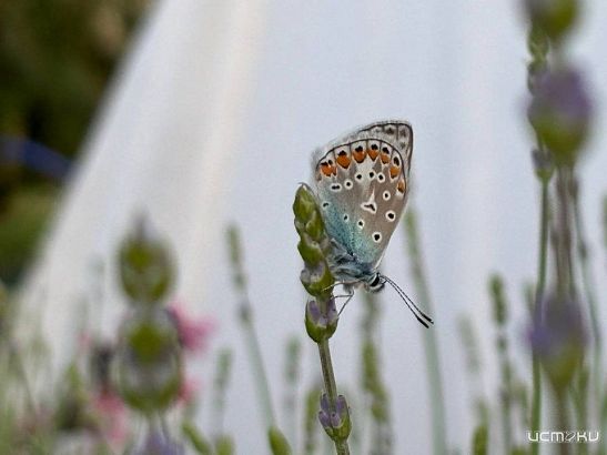 Орловчане не боятся быть одни
