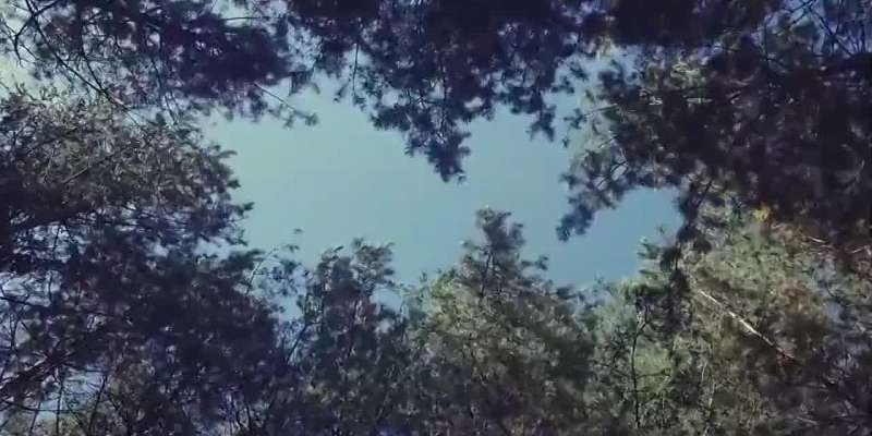 Появился тизер к новому мюзиклу театра "Свободное пространство"