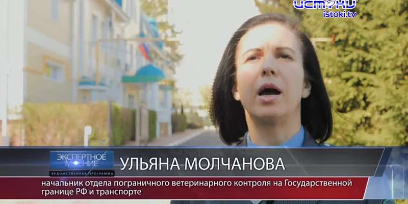 Экспертное мнение 28.04.23