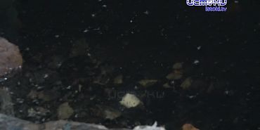 Улица рельсовая и её проблемы