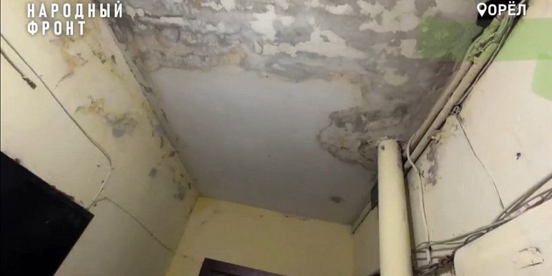 мусор коммунальная авария народный фронт Дом ужасов на Черкасской в Орле