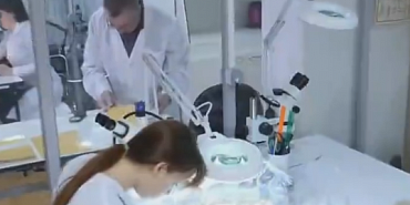 Россельхознадзор не нашёл в производственных сертификатах сведения о ключевом компоненте сырья для кровяной колбасы ООО «Дмитровские продукты»