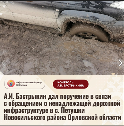 Бастрыкин дал поручение после обращения о ненадлежащей дорожной инфраструктуре в с. Петушки Новосильского района Орловской области