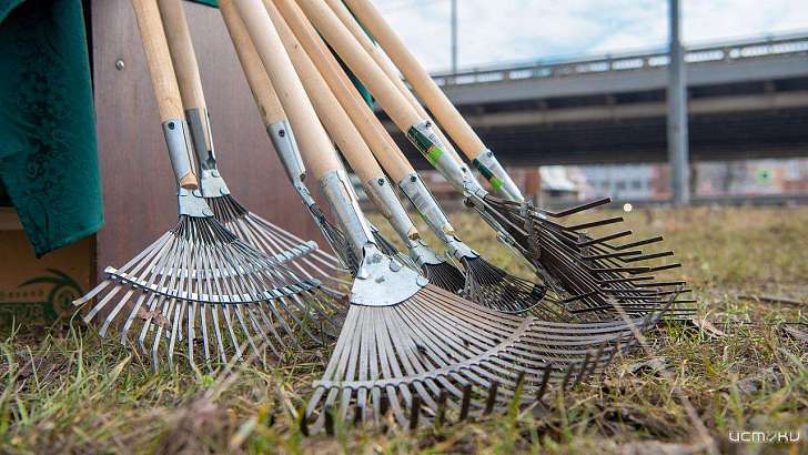 Орловчанам предлагают сделать уборку возле своих домов в рамках экомарафона