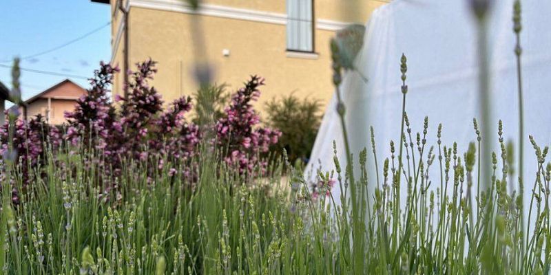  Орловчане рассказали, о каком жилье мечтают 