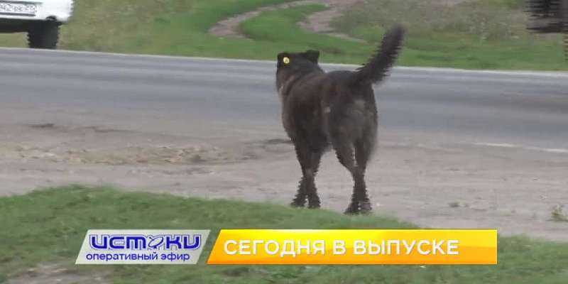 У жителей д. Никуличи скопилось много проблем, ФК «Орёл» разгромил брянских футболистов, а в Орле прозвучали звуки фанфар Победы. Об этом и не только ...