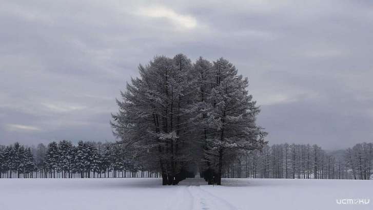 Сегодня в Орле будет хмуро и сыро 