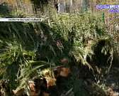 Троицкое кладбище снова погрязло в мусоре, а орловские спасатели выбрали лучшего сотрудника. Новости за 90 секунд