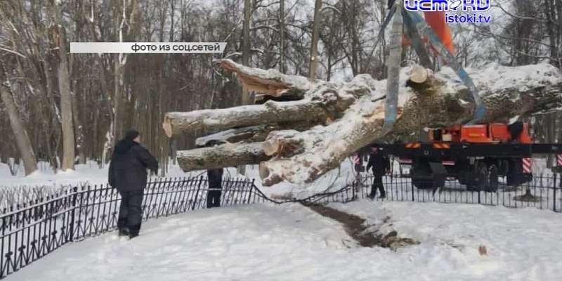 В Орле открыли спорткомплекс, который строили 27 лет, упавший Тургеневский дуб увезли на хранение, третий не лишний -мы приготовили подарки для нескол...