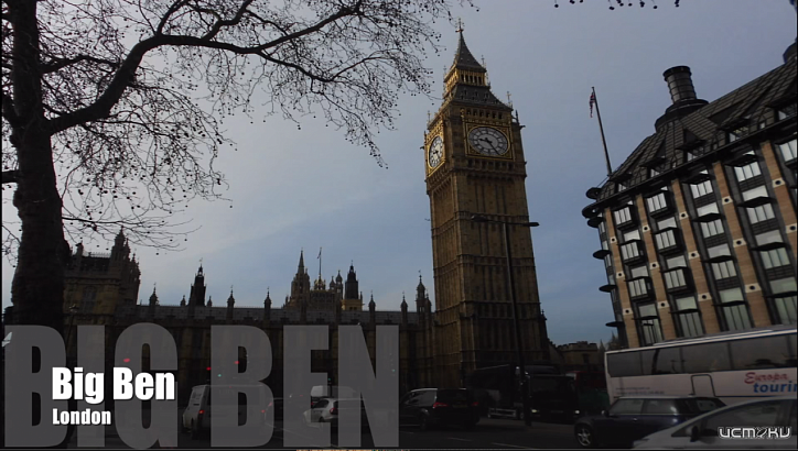 Bиза единственного представителя в великобританию.