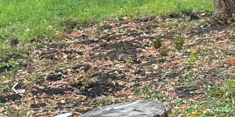 Россельхознадзор направил в налоговую службу информацию о неиспользуемых земельных участках в Орловской области