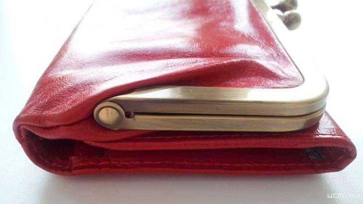 Орловчанка помыла машину и осталась без кошелька 