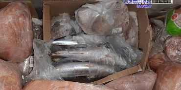 Дайджест 05.04.2025