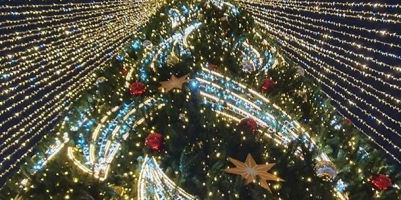 Цены на новогодние елки в Орле стартуют от тысячи рублей