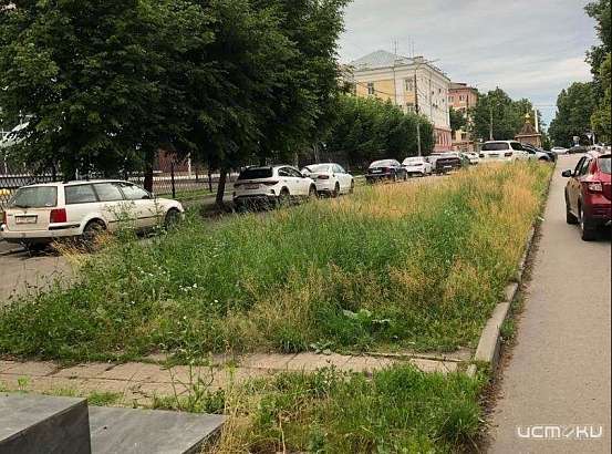 Автомобилисты в Орле испортили газон